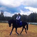 ���� ����, ������, 55 ��� - ��������� 6 ������ 2025 � ������ ���� ����������