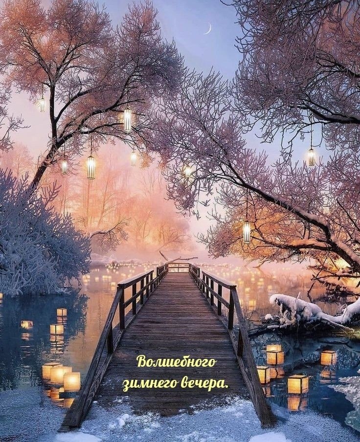   ,    . - 23  2023  15:51 - 4