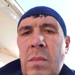 �������, �������, 46 ���