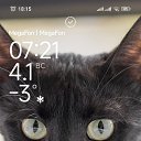 ���� �����, ������, 50 ��� - ��������� 5 ������ 2026 � ������ ���� ����������