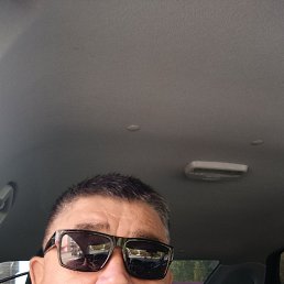 , 55, 