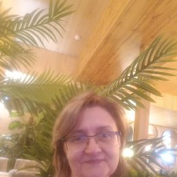 ���� ����, ����, 51 ��� - ��������� 9 ������ 2026