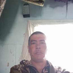 �������, 38 ���, ������