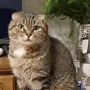 ���� �������, ������ - ��������� 30 ������� 2023