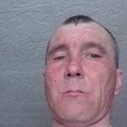 ����� �������, ������, 41 ���