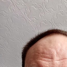 �������, �����������, 44 ����