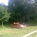 ���� ������, ������, 54 ���� - ��������� 11 ����� 2026 � ������ ���� ����������