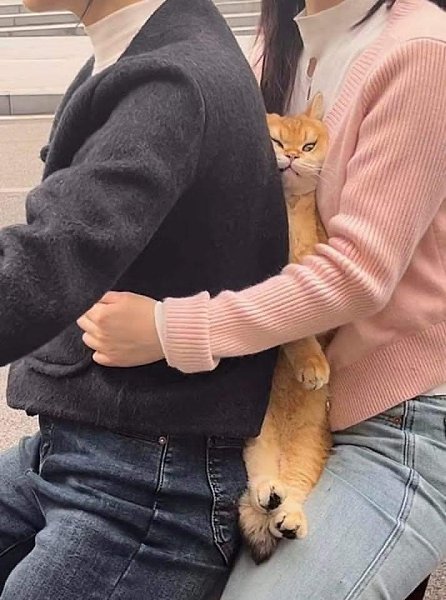 ,   ,    ... - 2