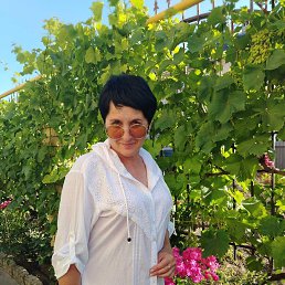 ���� �����, ������, 53 ���� - ��������� 29 ������� 2024