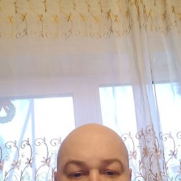 ������, 43 ����, ���������