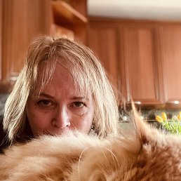 �����, ������, 61 ���