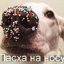 ���� �������, ���������� - ��������� 19 ������ 2025 � ������ ������ ��������