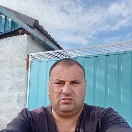 ���� ����, ����������, 43 ���� - ��������� 10 �������� 2025