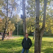 ������, 50 ���, ������