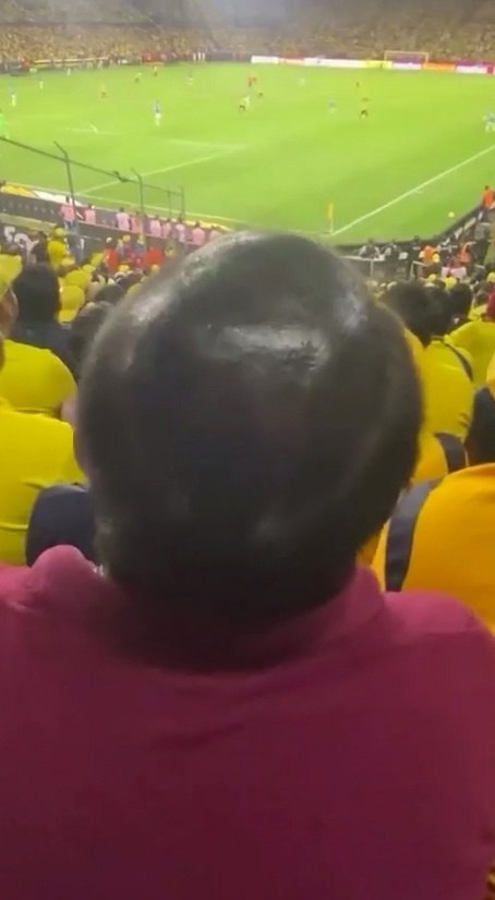 ������ ���� ���������