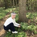 ���� ����, ���������, 59 ��� - ��������� 29 ������ 2024 � ������ ���� ����������