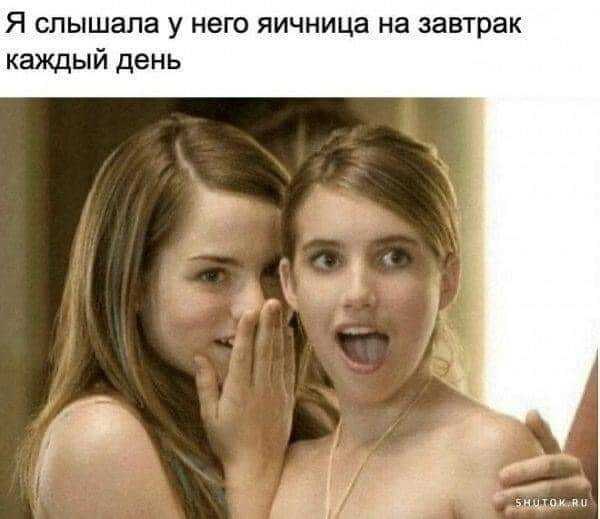  *** - 27  2025  13:11