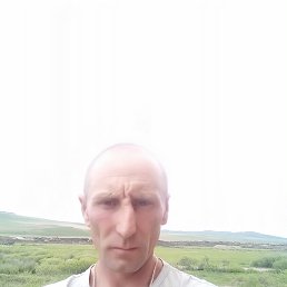 , 41 , 
