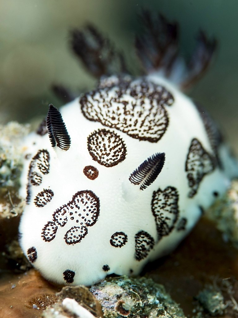 ,      -    .  ,  . ... - 3