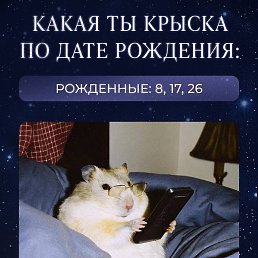 �����, �����, 39 ���