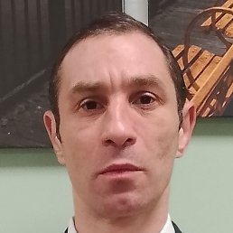 �����, ������, 41 ���