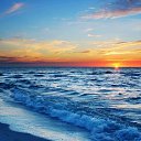 �� ������� �������� ����....�������� ����� ����� ������� �� ������� ������ ��������