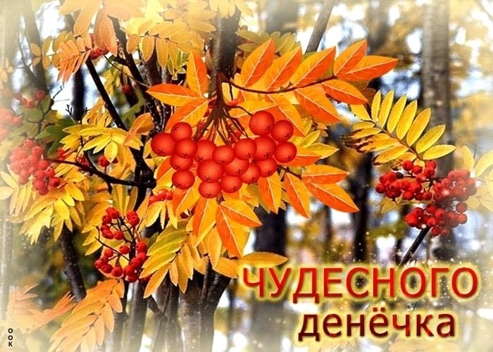   ,    . - 27  2025  11:41