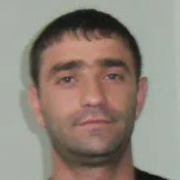 �����, ������, 42 ����