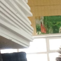 ����, ������, 34 ����