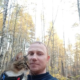 , 40, 