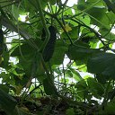 ���� ���, ������, 37 ��� - ��������� 8 ���� 2024 � ������ ������ ��������