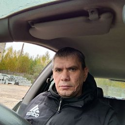 ����, 43 ����, ������