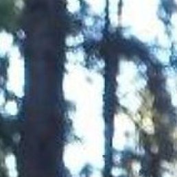 ����, ����-�������, 62 ����