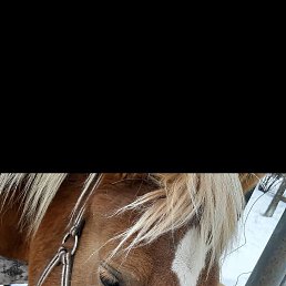 ���������, 47 ���, ���������