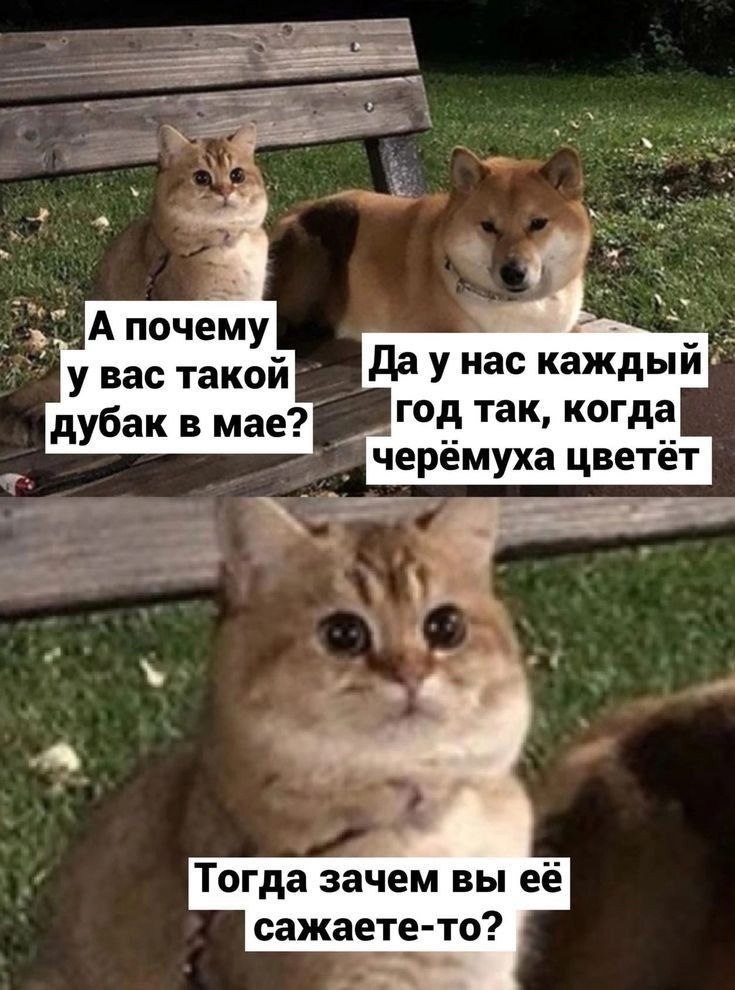 ��� - 3 ��� 2024 � 10:51