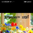 ���� ����, �������������, 62 ���� - ��������� 26 ������ 2024