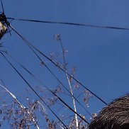 �����, 18 ���, ����������