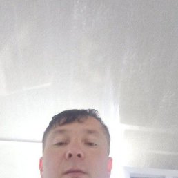 ���� ���, �����, 43 ���� - ��������� 31 ������ 2024