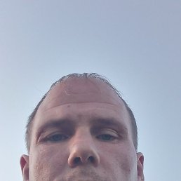 ������, ������, 41 ���