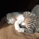 ���� �������, ���������, 50 ��� - ��������� 5 ����� 2026 � ������ ���� ����������