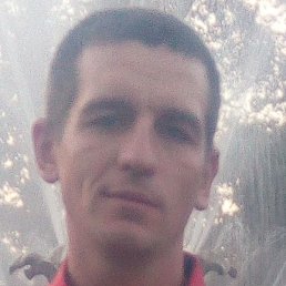 ������, ��������, 42 ����