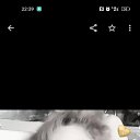 ���� ������, �����������, 49 ��� - ��������� 24 ������ 2026 � ������ ���� ����������