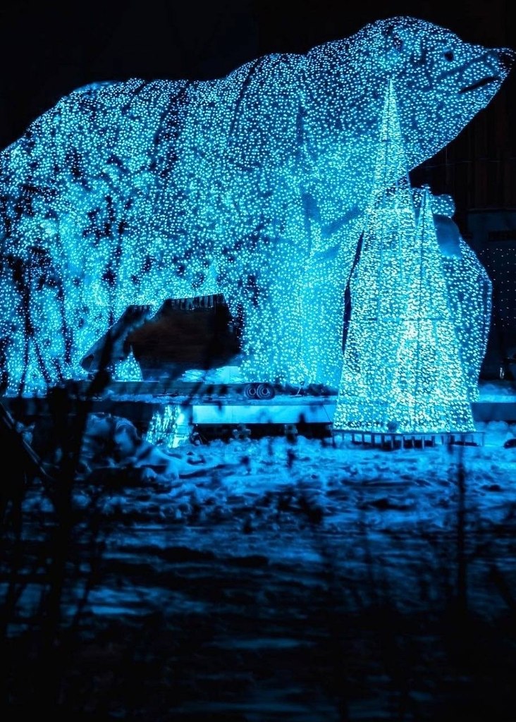 ���� �������� �� ���������� �������� ����������.����� � ������������ ��������� ���������� ���������� ... - 2