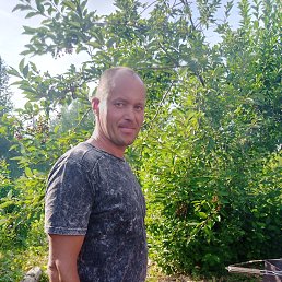 ������, 41 ���, ������-���