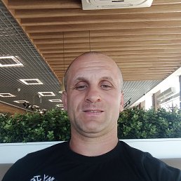 , 37, 