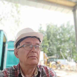 , 61, 