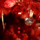 ���� �����, �����, 55 ��� - ��������� 5 ������ 2024 � ������ ���� ����������