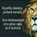 ���� ���� ������ �������, ������, 38 ��� - ��������� 23 ������ 2023 � ������ ���� ����������