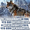 ���� �����, ������, 36 ��� - ��������� 11 ������� 2024 � ������ ������ ��������