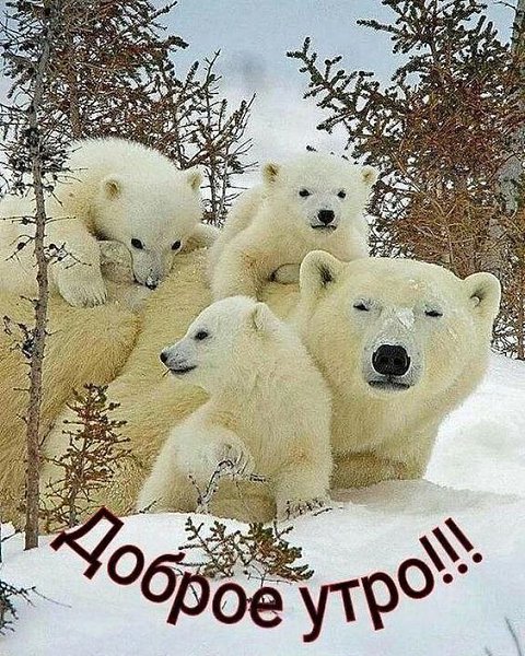 ₪╬═►  ||  ||  ◄═╬₪ - 20  2024  06:09